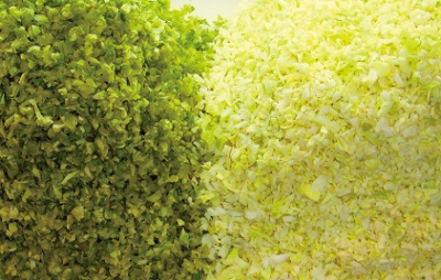 Dremax DX-90 Dremax DX-90